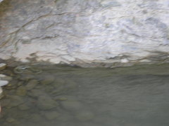 Natrix astreptophora