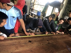 Chironius multiventris