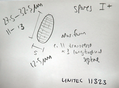 Thalloloma subvelata