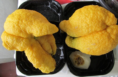 Yellow lemon close-up