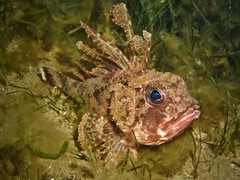 Cobbler Perch photo 3