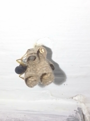 Mischocyttarus cerberus