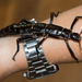 Lord Howe Island Stick Insect - Photo (c) David R, some rights reserved (CC BY-NC), uploaded by David R