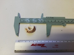 Opeatostoma pseudodon