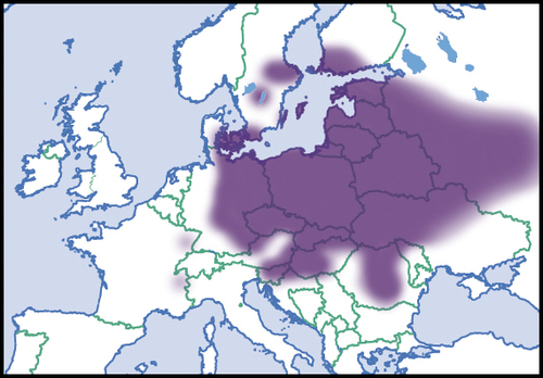 Perforatella bidentata