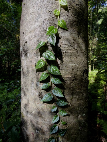 Foto de Desconhecido