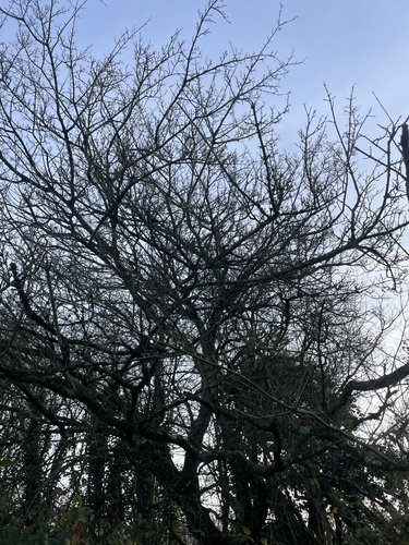 Foto de bordo