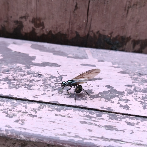 背视图图像 - xhttttttt