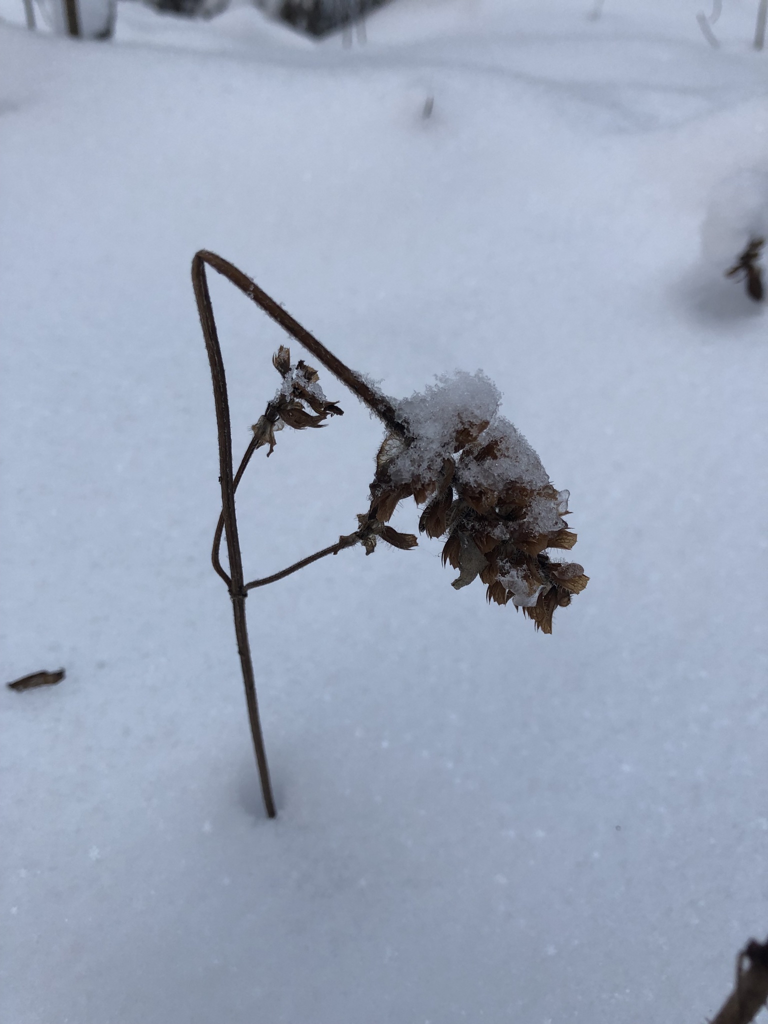 Self-heal