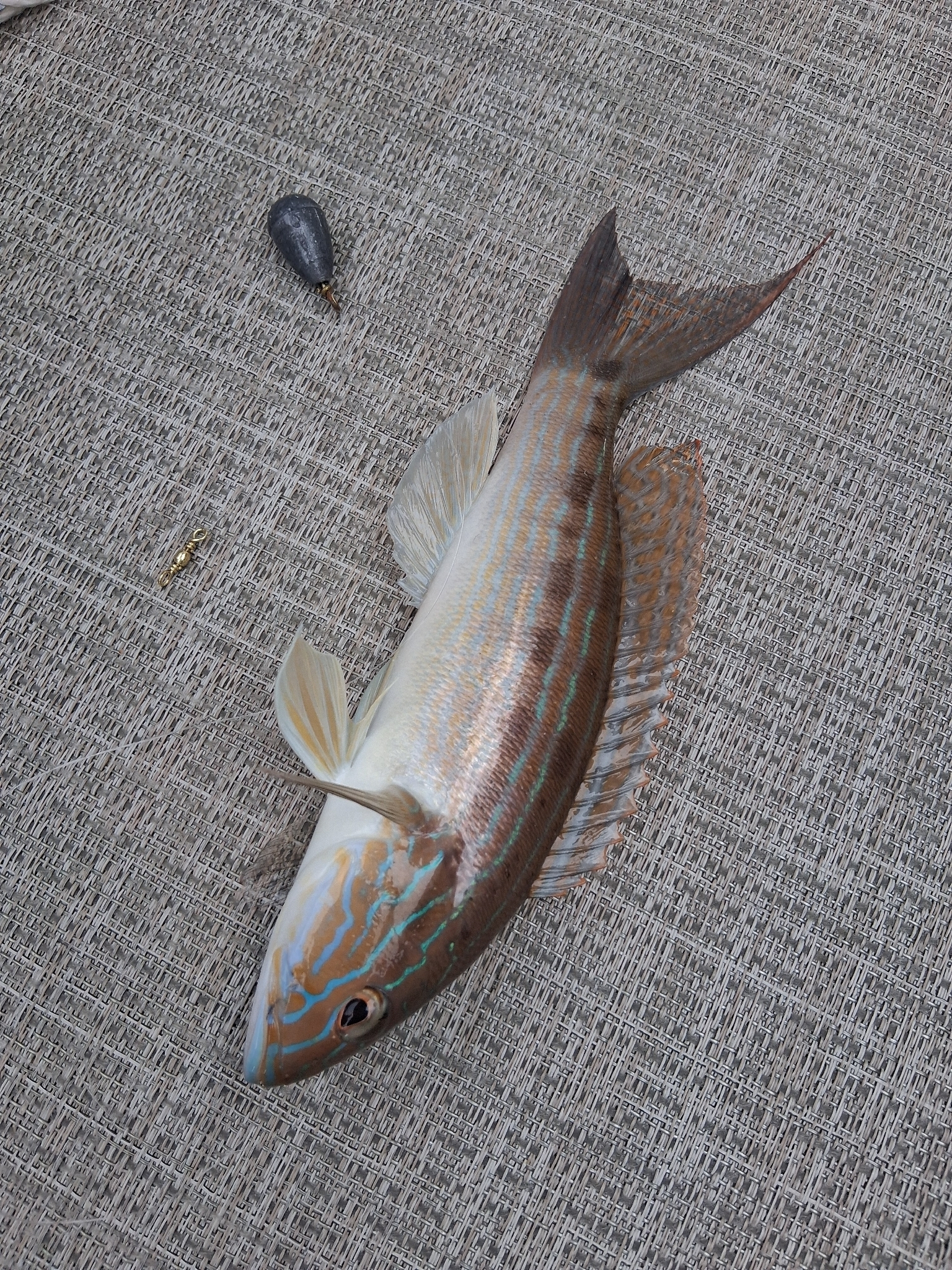 Sand Perch photo 7
