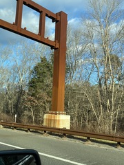 Juniperus virginiana virginiana