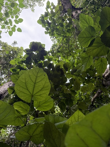 Foto de Nenhum