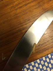 Plodia interpunctella