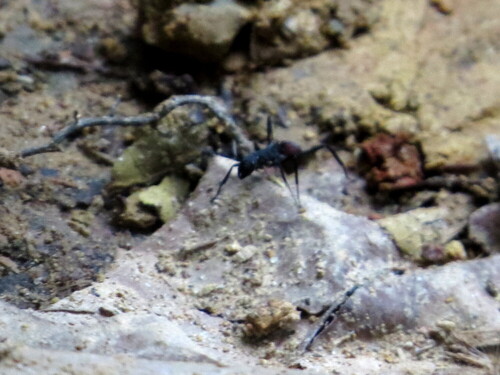 背视图图像 - Frederick Cheong