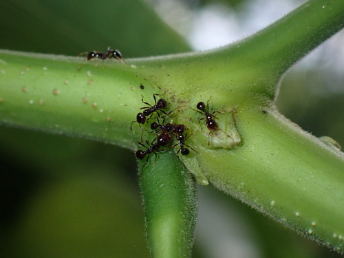 背视图图像 - Sheldon Logan