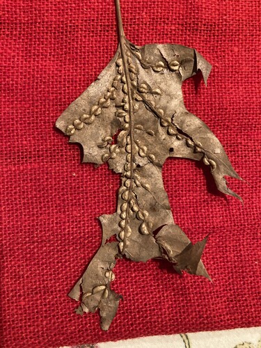 Unknown species found near Calf Mountain, VA 22932, USA