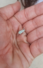 Compsus viridivittatus