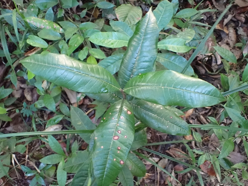 Foto de Desconhecido