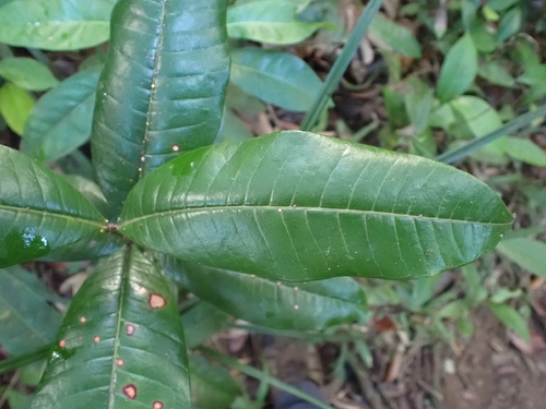 Foto de Desconhecido