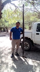 Boa constrictor occidentalis