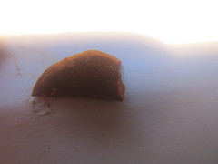 Hymenochaete microcycla