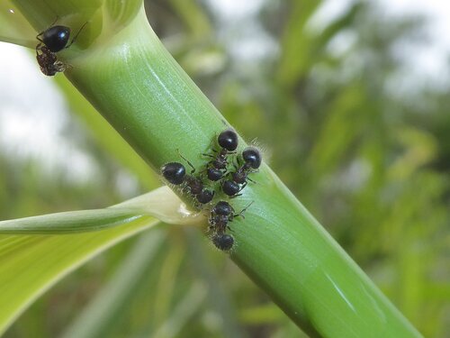 背视图图像 - Foo Chuan Wei