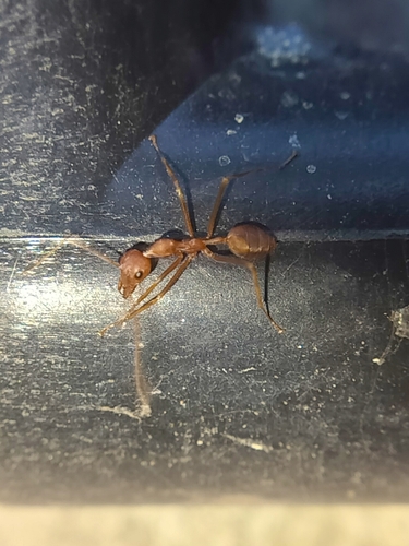 背视图图像 - Pranav Prabhu