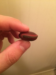 Macropsychanthus comosus