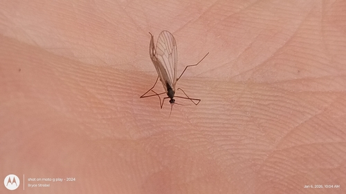 Unknown species found near Rome, WI, USA