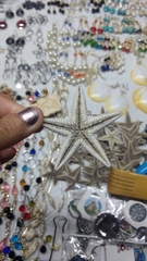 Astropecten duplicatus