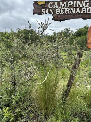 Foto de Desconhecido