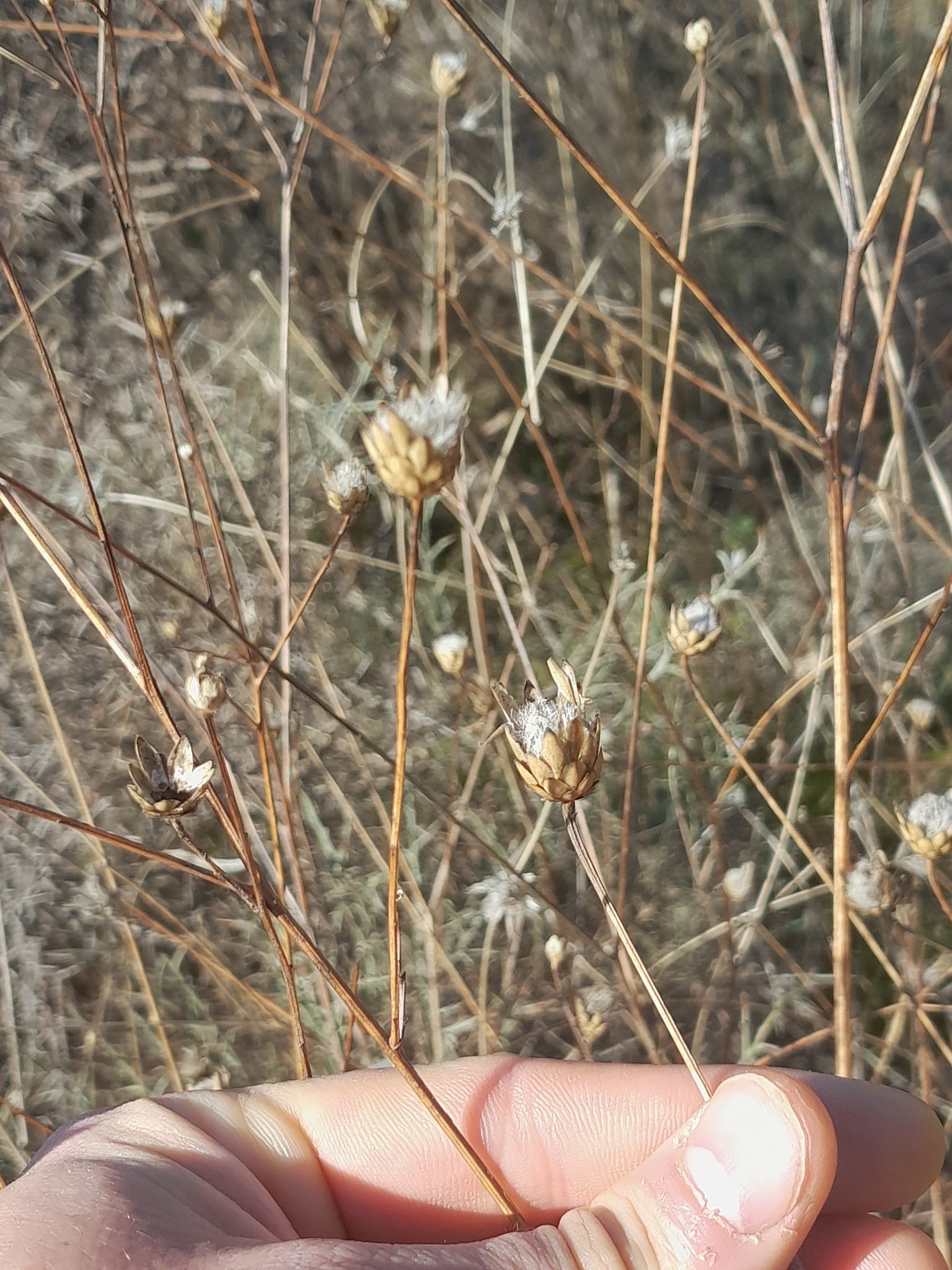 Abrepuños