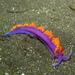 Spanish Shawl - Photo (c) Richard Ling, some rights reserved (CC BY-NC-ND)