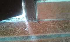 Lycosa nordenskjoldi