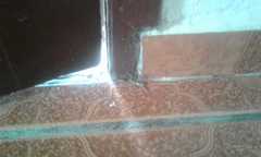 Lycosa nordenskjoldi