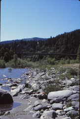 Habronattus ballatoris