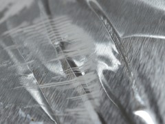 Saproamanita nauseosa