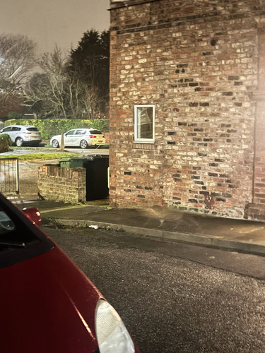 Red Fox observed by kh-c