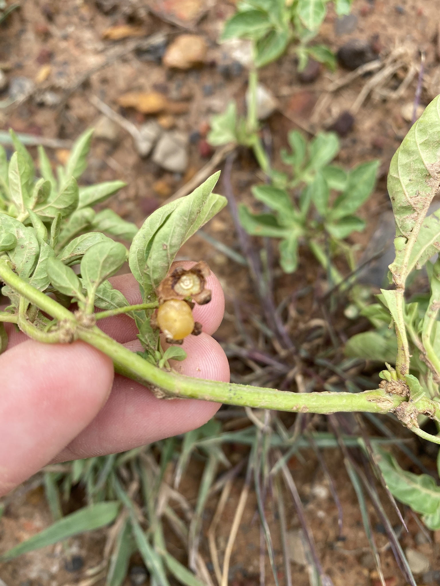Imagem de Desconhecido