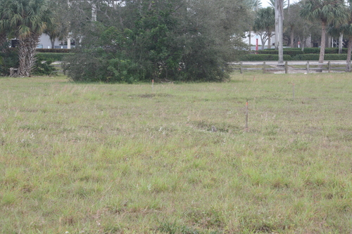 View observation of {o.common_name} on iNaturalist