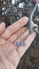 Berberis integerrima