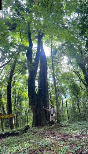 Foto de Gurucaia