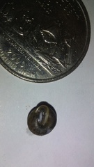 Euchemotrema leaii