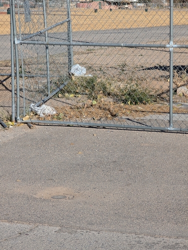 View observation of {o.common_name} on iNaturalist