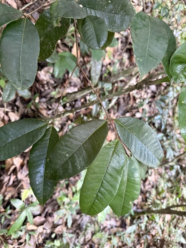 Foto de Desconhecido