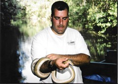 Corallus ruschenbergerii