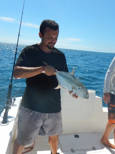 Caranx caninus