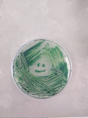 Synechococcus elongatus