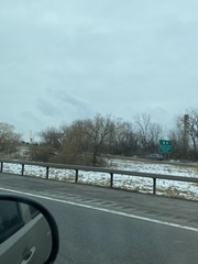 Populus deltoides deltoides