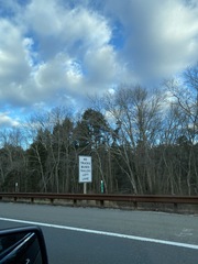 Juniperus virginiana virginiana